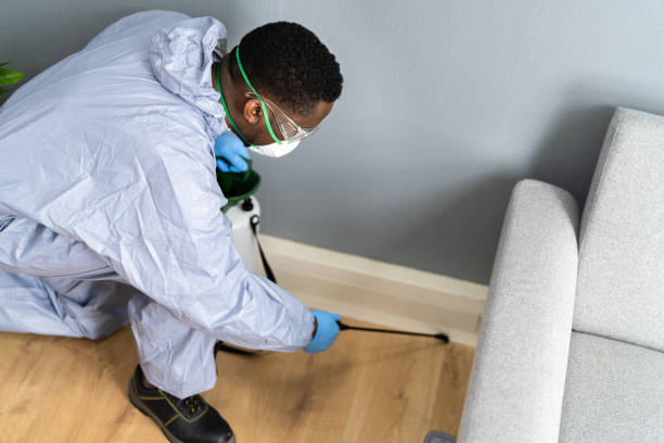 Trusted Windsor, CA Pest Control Experts